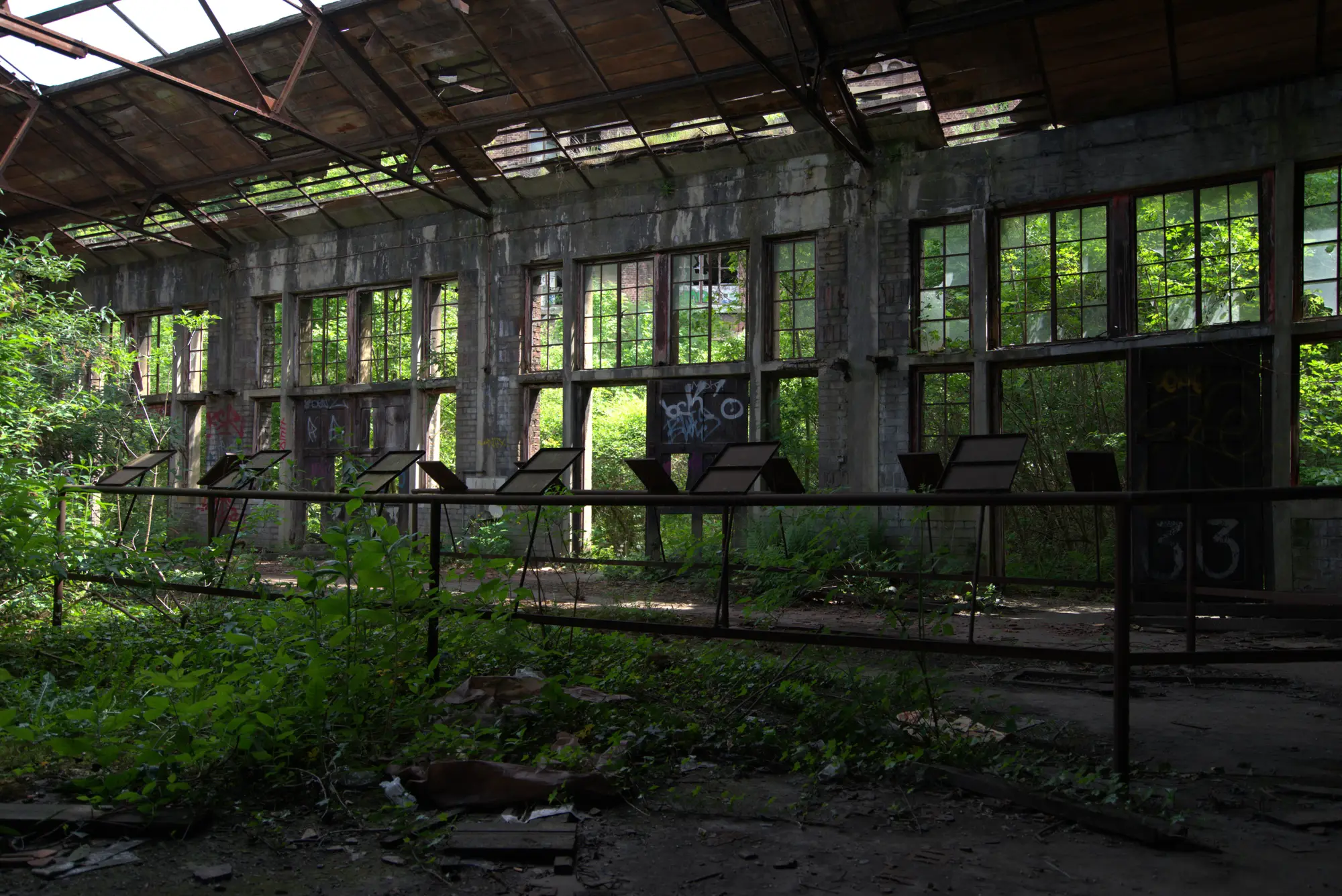 Reihen von Pulten in der verglasten Halle. Das Grün ist durchgekommen.