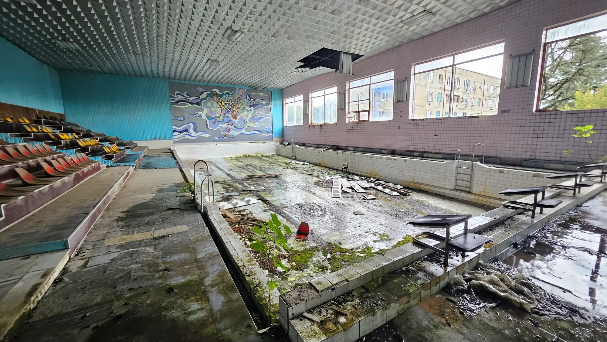 Schwimmhalle. Im Becken wächst jetzt was anderes.